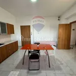 Rent 2 bedroom apartment of 70 m² in Catania