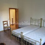 Rent 4 bedroom apartment of 90 m² in Bologna