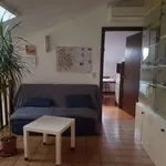 Rent a room in padua