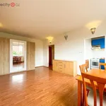 Rent 1 bedroom apartment of 30 m² in Trhový Štěpánov