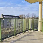 Rent 3 bedroom apartment in Woluwe-Saint-Lambert - Sint-Lambrechts-Woluwe