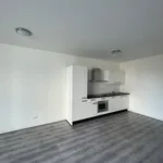 Rent 2 bedroom apartment of 57 m² in Nijverdal-Centrum