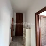 Rent 4 bedroom apartment of 90 m² in Bologna