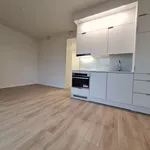 Rent 1 bedroom apartment of 27 m² in Turku