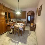 Rent 3 bedroom apartment of 75 m² in Turin