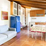 Rent 1 bedroom apartment in Florence