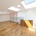 Rent 1 bedroom house of 300 m² in Prague