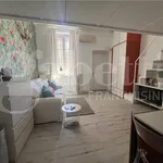 Rent 1 bedroom apartment of 31 m² in Milano