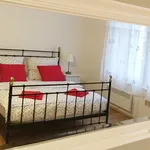 Rent 1 bedroom apartment in Prague