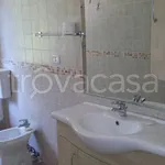 Rent 2 bedroom apartment of 60 m² in Frosinone