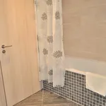 Pronajměte si 1 ložnic/e byt o rozloze 42 m² v Prague