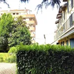 Rent 2 bedroom apartment of 60 m² in Paderno Dugnano