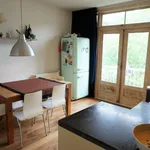 Huur 3 slaapkamer appartement van 110 m² in Amsterdam