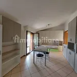 Rent 1 bedroom apartment of 40 m² in Bologna