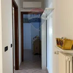 Rent 2 bedroom apartment of 60 m² in Reggio nell'Emilia