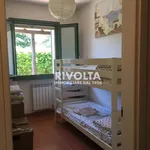 Rent 4 bedroom apartment of 100 m² in Capalbio