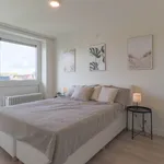 Rent 1 bedroom apartment in Kortrijk