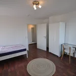 Miete 2 Schlafzimmer wohnung von 55 m² in Braunschweig