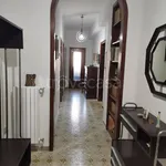 Rent 3 bedroom apartment of 140 m² in Mattinata