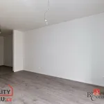 Rent 1 bedroom apartment in Plzeň