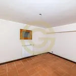 Rent 6 bedroom apartment of 312 m² in Cerveteri