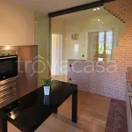 Rent 4 bedroom apartment of 80 m² in Castelnuovo di Garfagnana