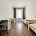 Rent 1 bedroom apartment in Brno