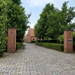 Rent 4 bedroom house in Rijkevorsel