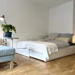 Rent 1 bedroom apartment of 35 m² in Berlin