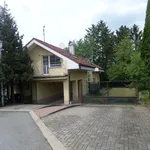 Rent 3 bedroom apartment of 62 m² in Brno