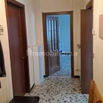 Rent 1 bedroom apartment of 45 m² in Piacenza