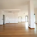 Rent 5 bedroom house of 253 m² in Turin