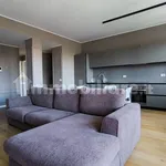 Rent 4 bedroom apartment of 115 m² in Milan