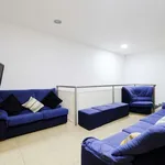 Rent 1 bedroom apartment in madrid