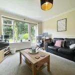 Rent 2 bedroom apartment in Sheffield