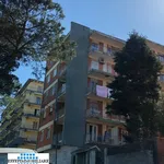 Rent 2 bedroom apartment of 65 m² in Napoli