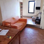 Rent 2 bedroom apartment of 50 m² in Siena