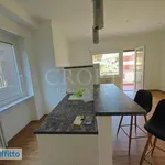 Rent 3 bedroom apartment of 100 m² in Rome