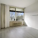 Rent 2 bedroom apartment of 77 m² in Amsterdam