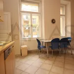 Rent 4 bedroom apartment of 160 m² in Prague