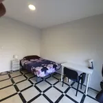 Rent 7 bedroom apartment in Granada