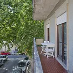 Rent 4 bedroom apartment in Lisbon