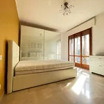 Rent 3 bedroom apartment of 100 m² in Venice