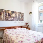 Rent 2 bedroom apartment of 60 m² in pisa