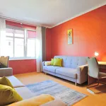 Rent 1 bedroom house of 20 m² in Szczecin