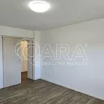 Rent 5 bedroom apartment of 130 m² in Nižbor