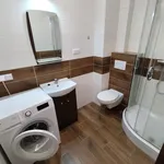 Rent 1 bedroom apartment of 20 m² in Nysa