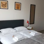 Rent 2 bedroom apartment of 38 m² in Łódź