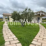 Rent 2 bedroom house of 60 m² in Montalto di Castro