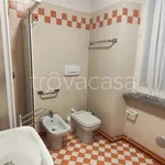 Rent 1 bedroom apartment of 30 m² in Biella